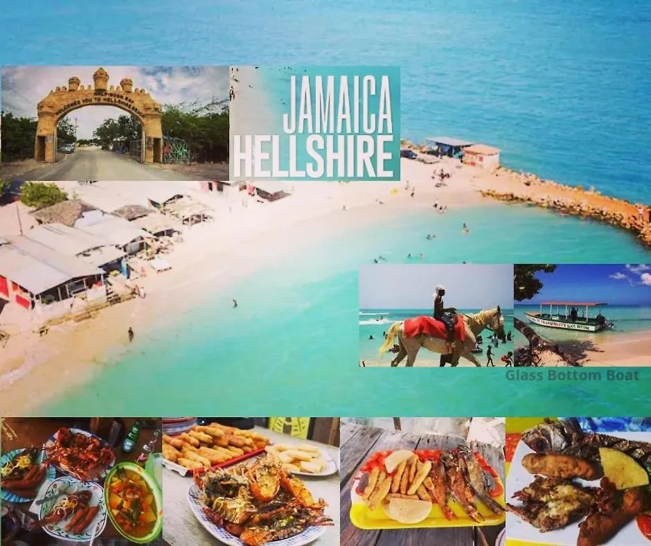 Crystoural Apartment Liguanea Sovereign Apt - 2 Bedrooms, 3 Beds, Host 4 Guest- Kingston!