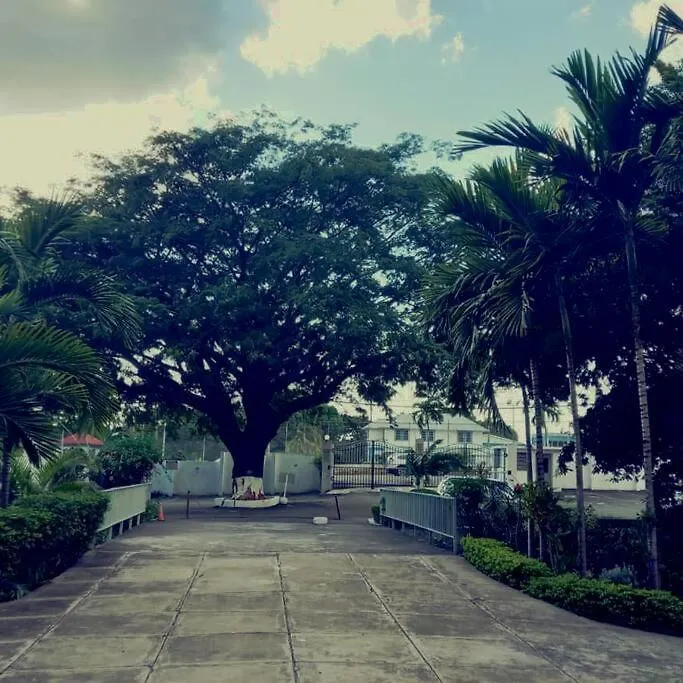 Crystoural Apartment Liguanea Sovereign Apt - 2 Bedrooms, 3 Beds, Host 4 Guest- Kingston!