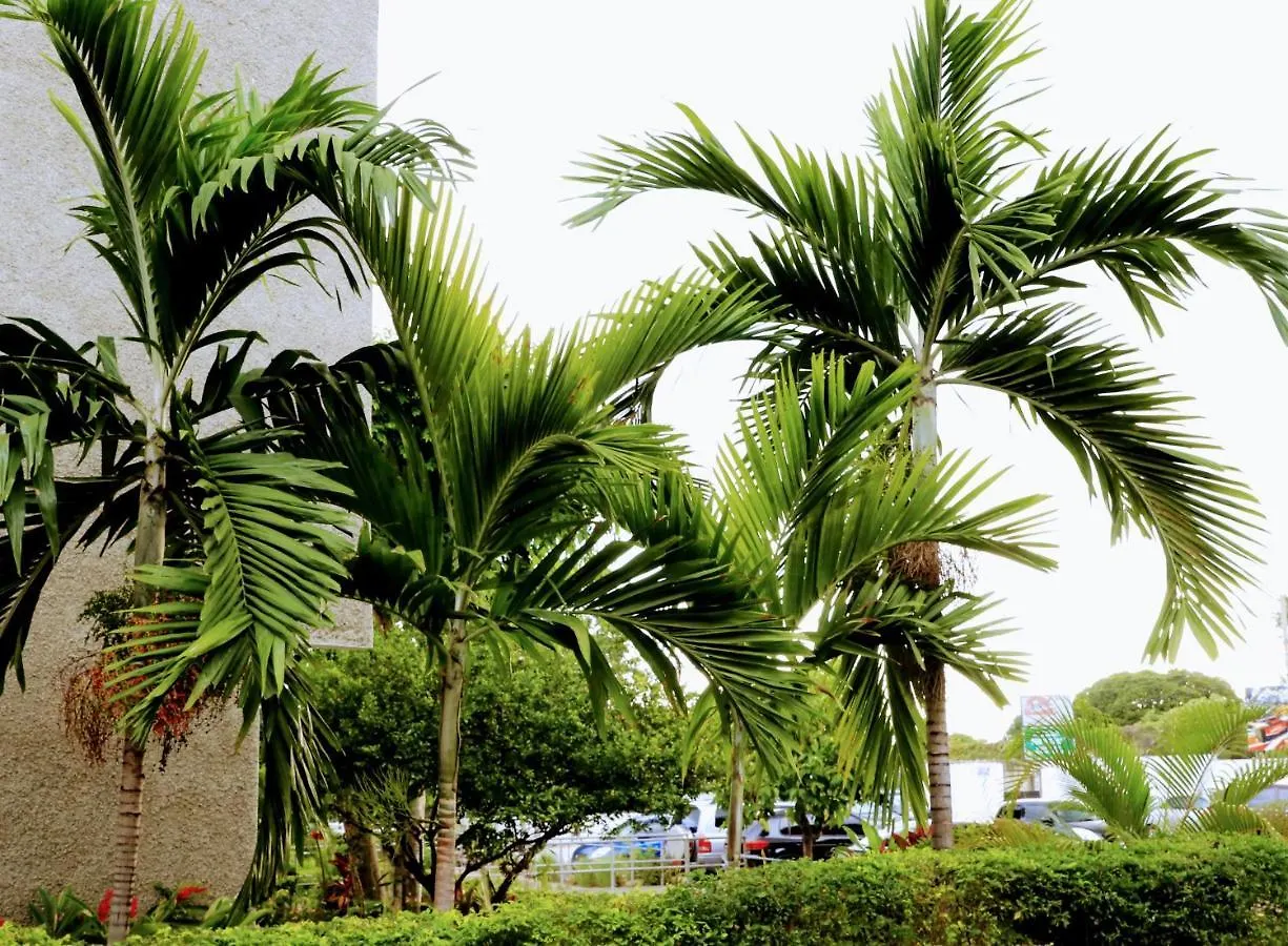 Crystoural Apartment Liguanea Sovereign Apt - 2 Bedrooms, 3 Beds, Host 4 Guest- Kingston!